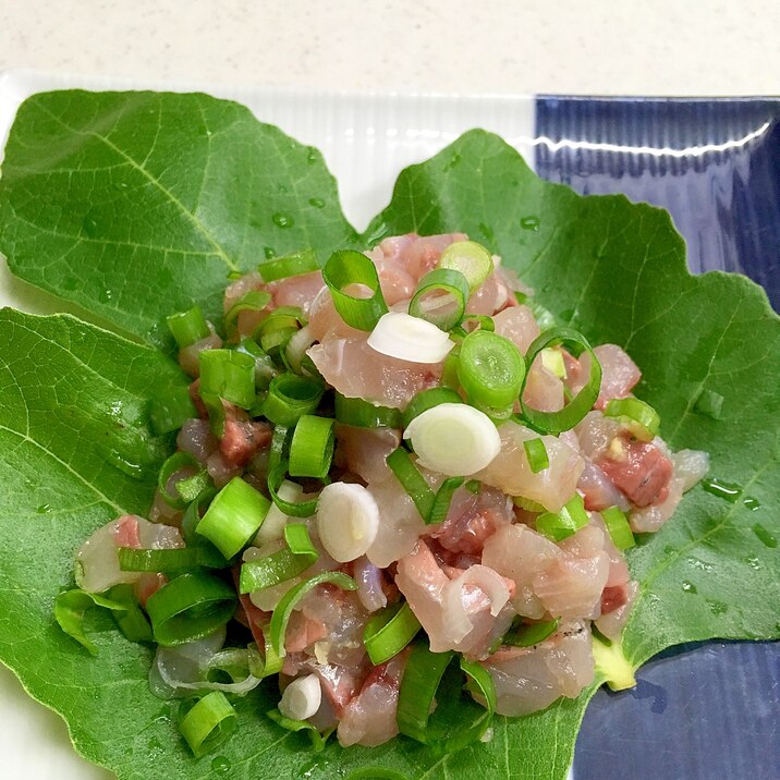 アジのたたき レシピ 作り方 By ケイヤ5621キエ 楽天レシピ アジのたたき レシピ 作り方 By ケイヤ5621キエ 楽天レシピ